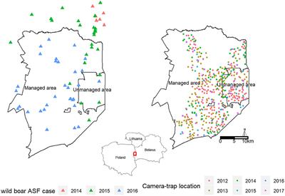 Disease-Induced Mortality Outweighs Hunting in Causing Wild Boar Population Crash After African Swine Fever Outbreak